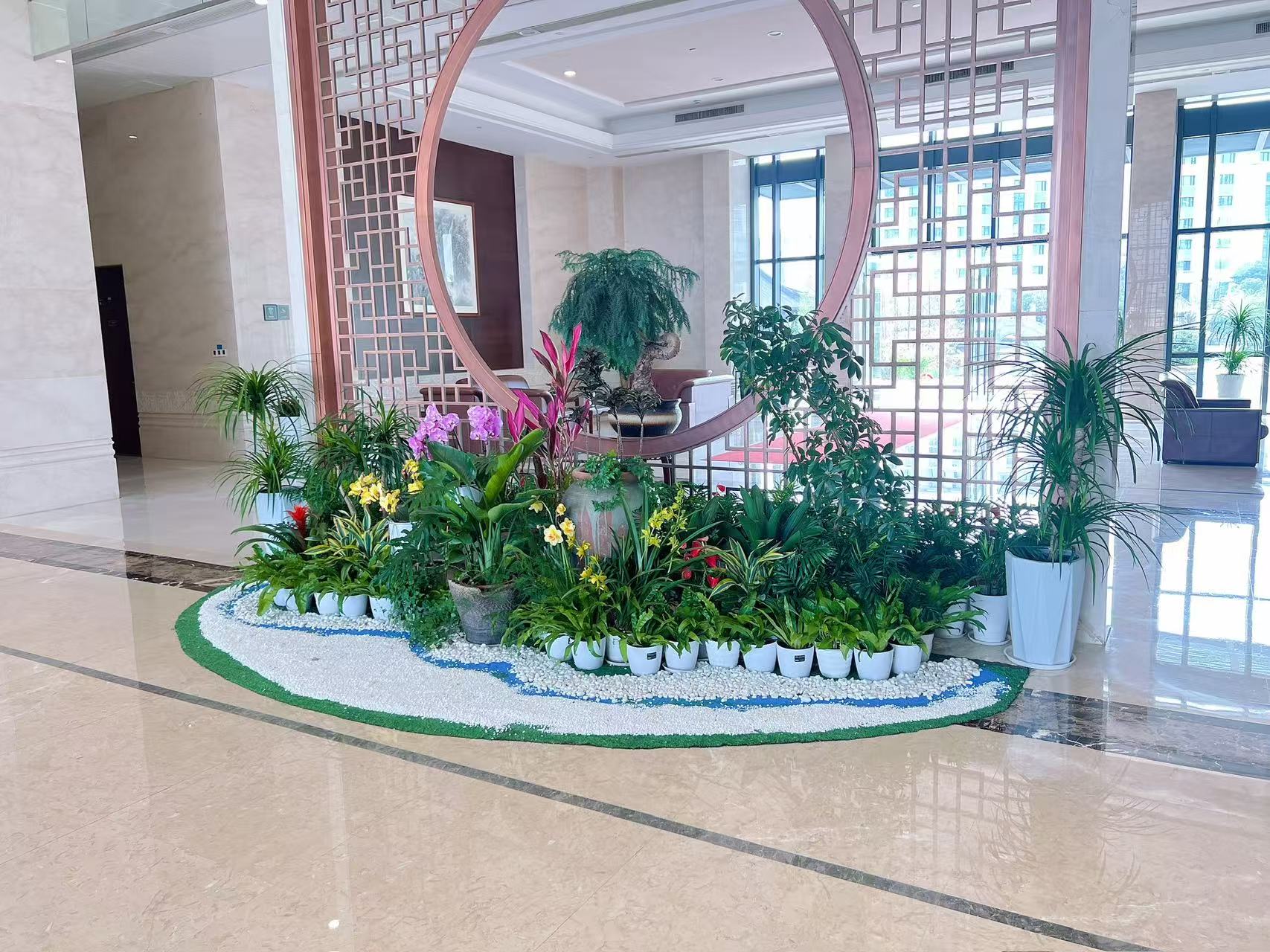 探秘海曙专业花卉租摆，领略花卉装饰独特魅力